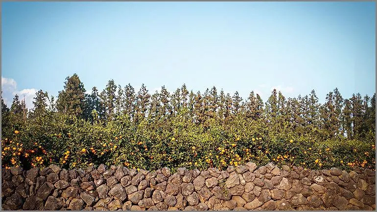Jeju Artist Pension 0*,